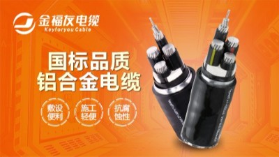 插座有左零右火之分，為什么兩孔插頭可以任意插而不會短路？